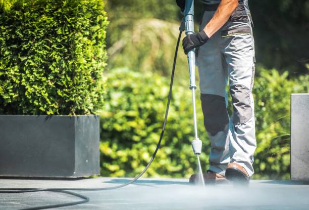 Best Window and Screen Pressure Cleaning in Chestertown, MD